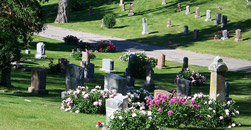 MT View Cemetery